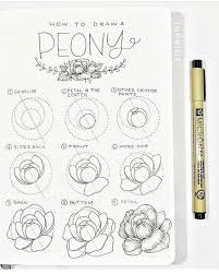 Tips and techniques for drawing flowers with a pen. Perfekt Auf Instagram Geschrieben Fuge Deinem Tagebuch Mit Diesem Hubschen Auf Deinem Diesem Fu Flower Drawing Tutorials Flower Drawing Peony Drawing