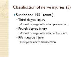 1 the lowest degree of nerve injury in which the nerve remains intact but signaling ability is. Systematic Description And Nomenclature Of Nerve Disturbances John
