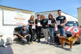 傅德蔭基金有限公司| 項目| 動物福利| 保護遺棄動物協會“以絕育拯救生命”