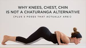 Why Knees Chest Chin Is Not A Chaturanga Alternative Yoga Teacher Training Yoga Articles Yoga For Beginners