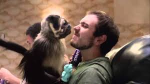 An Oral History Of Mountain Dew S Puppy Monkey Baby Super Bowl Ad