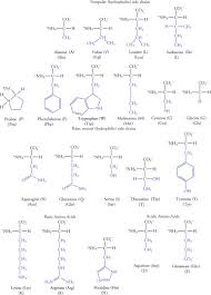 Amino Acids An Overview Sciencedirect Topics
