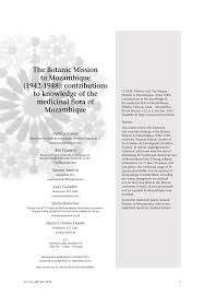 Image result for Cyphostemma gigantophyllum