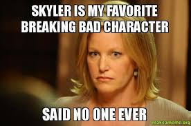 Pin By Tracey Brown On Funny Breaking Bad Bad Memes Breaking Bad Seasons