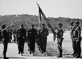 Medalla Para Los Que Hicieron El Servicio Militar La Mili Rafael Davila Alvarez General De Division R General Davila