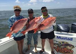 I dare you to go down and get me one! Venice Lodging And Rates With Voodoo Fishing Charters Many Lodges And Camps In Louisiana