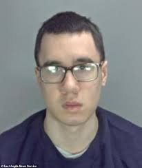 Grandson is locked up in hospital after killing his grandmother, 89, by  setting fire to her house