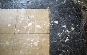 Also asbestos was used in the adhesive to glue down the carpet underlay which is usually a black bitumous material.&nbs. Floor Tiles The Shoestring Files