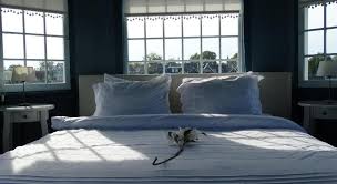 Heerlijck Slaapen Op De Zaanse Schans أسعار والصور وملاحظات وعنوان هولندا