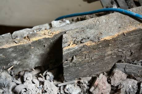 Treating Woodworm | Getting Rid of Wood-boring Insects