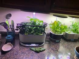 Welcome to the world of indoor gardening! Aerogarden Harvest Elite 360 Copper With Gourmet Herbs Seed Kit Walmart Com Walmart Com