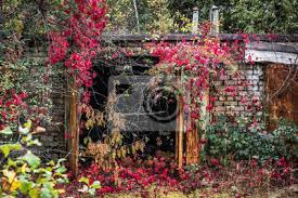 Wooden garden dining sets ukrainian city of pripyat. Haus Der Wohnungen In Pripyat Geisterstadt Tschernobyl Ausschlusszone Leinwandbilder Bilder Chernobyl Appartment Geisterstadt Myloview De