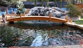 Maybe you would like to learn more about one of these? Atlanta Koi Pond Is The Place To Find Japanese Koi In Atlanta As Well As Fine Koi Pond Design Supplies Atlanta Koi Pond