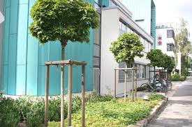 Sie suchen einen landschaftsgärtner und. Home Peter Rose Garten Landschaftsbau