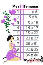 Cuanto tiempo debo tomar sabila para la gastritis. Como Calcular Los Meses De Embarazo De Acuerdo A Las Semanas Calcular Semanas De Embarazo Embarazo Embarazo Semana A Semana