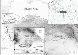 Image result for Disperis sp. nov. aff. macowanii