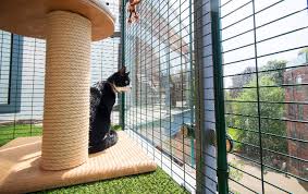 Alibaba.com offers 1,181 cat enclosures products. Cat Balcony Enclosure The Ultimate Urban Cat Run