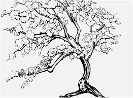 We did not find results for: Coloring Pages Cherry Photo New Cherry Blossom Coloring Page Coloring Home