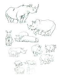 rhino sketches animal sketches line art drawings jungle drawing
