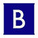 Logo Brunswick Investor Brand