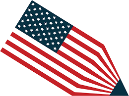 Van sommige staten, de safe states, staat bij voorbaat al vast of ze naar de republikeinen of naar de democraten zullen gaan. Verkiezingen Amerika 2020