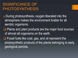 What Is The Source Of Oxygen In Photosynthesis - Brainly.In