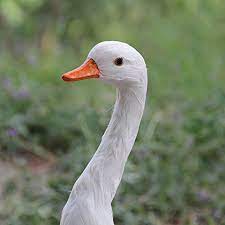 Pin On White Goose Model Goose Decor Simulation Goose Real Feather Gifts Room Ornament