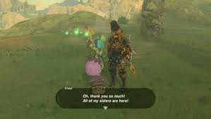If you have content that doesn't directly relate, (switch console questions, zelda in general, etc.) please see our related subreddits list. Salmon Meuniere Botw Zelda Breath Of The Wild Guide Recital At Warbler S Nest Talk With Genli Now That You Have A Salmon Meuniere In Your Inventory Princesazforever
