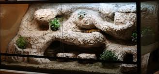 Leopard Geckos The Ultimate Naturalistic Vivarium Complete With Leos Leopard Gecko Leopard Gecko Diy Leopard Gecko Terrarium