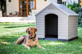 About 0% of these are pet travel & outdoors, 3% are pet cages, carriers & houses, and 5% are pet beds & accessories. Las Mejores Casas De Exterior Para Perros De Todos Los Tamanos Compramejor Usa