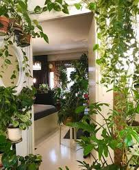 Check out our garden decor selection for the very best in unique or custom, handmade pieces from our garden decoration shops. 42 Amazing Indoor Garden Decorations Tips And Ideas Plant Wall Decor House Plants Indoor Indoor Plants