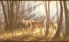 Find great deals on ebay for deer wallpaper border. Deer Forest Scene Wallpaper Border Deer Wallpaper Border Deer Wallpaper Wildlife Wallpaper