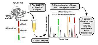 Quality Control Of Tryptic Digestion