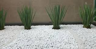 Como Instalar Un Jardin Con Piedras Decorativas Jardin Con Piedras Jardin Piedras Blancas Patio Con Piedras