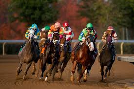 Keenelands Fall Meet Begins October 4 Abc 36 News