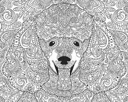We did not find results for: Poodle Coloring Page Etsy