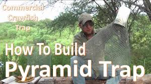 Pyramid Trap How To Build And Set Diy Comercial Crawfish Trap Crawfish Traps Fishing Boats Fishing Organization