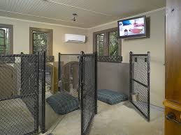 Dog House Interior 2 Dog Boarding Kennels Building A Dog Kennel Dog Rooms