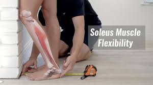You use the soleus and gastrocnemius muscles to lift your heel up when walking you may also have weak core muscles since your leg muscles are forced to work harder when your core. Tight Calf Muscles Causes And Stretches For Tight Calf Muscles