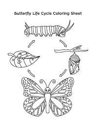 This collection includes mandalas, florals, and more. 25 If You Are Looking For Butterfly Cycle Coloring Pages You Ve Come To The Right Place We Have 25 Images About Butterfly Le Idee Della Scuola Idee Scienza