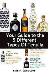 The 5 Types Of Tequila Your Guide To The Differences Let S Eat Cake In 2020 Tequila Blended Drinks Drinks Made With Tequila