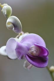 Pin On Cute