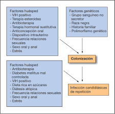 Vulvovaginitis de repetición. Valoración diagnóstica y manejo terapéutico |  Actas Dermo-Sifiliográficas