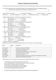 Put the letters in order to make up words. Anatomical Terms Worksheet