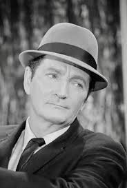 Ed Peck: American Actor and Happy Days Star