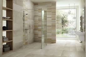 Bathroom ideas for the elderly & handicapped. Roll In Handicapped Ada Shower Design Tips Cleveland Columbus Ohio
