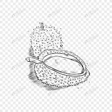 Penanaman anggur di malaysia myagri com mymyagri com my. Buah Buahan Makanan Buah Hitam Dan Putih Durian Gambar Unduh Gratis Imej 401693365 Format Psd My Lovepik Com
