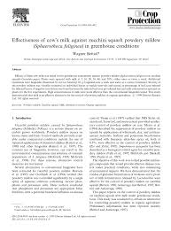 Food producing plants that are especially susceptible to powdery mildew include squash/zucchini, cucumber, pumpkin, beans and tomato plants. Pdf Effectiveness Of Cow S Milk Against Zucchini Squash Powdery Mildew Sphaerotheca Fuliginea In Greenhouse Conditions