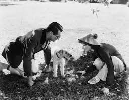I Can T Give You Anything But Love Baby I Can T Give You Anything But Love Baby Cary Grant Fox Terrier Katharine Hepburn