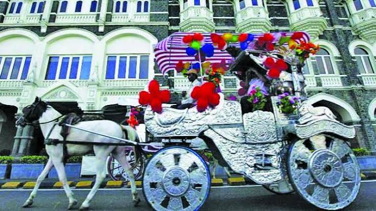 Bombay High Court refuses to review Victoria order | Bombay High Court refuses to review Victoria order